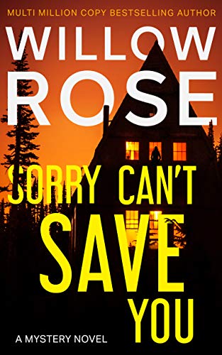 Sorry Can't Save You book cover