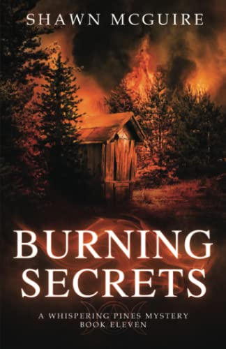 Burning Secrets book cover