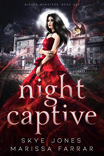 Night Captive book cover