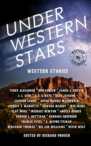 Under Western Stars: Stories by the Western Fictioneers book cover
