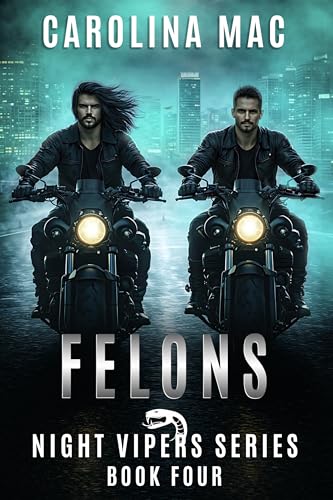Felons book cover