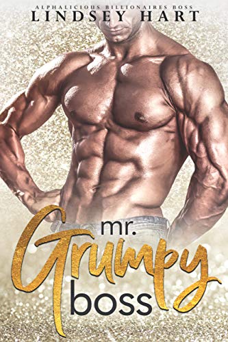 Mr. Grumpy Boss book cover