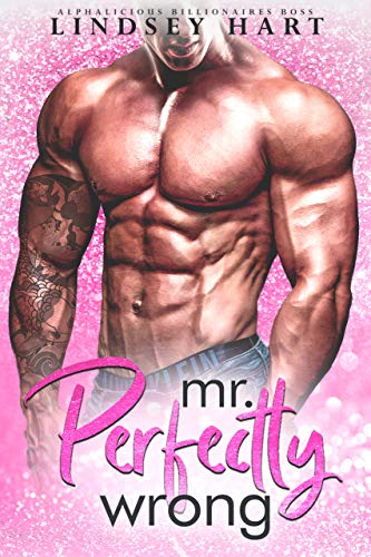 Mr. Perfectly Wrong book cover