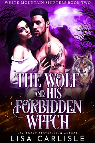 The Wolf and His Forbidden Witch book cover