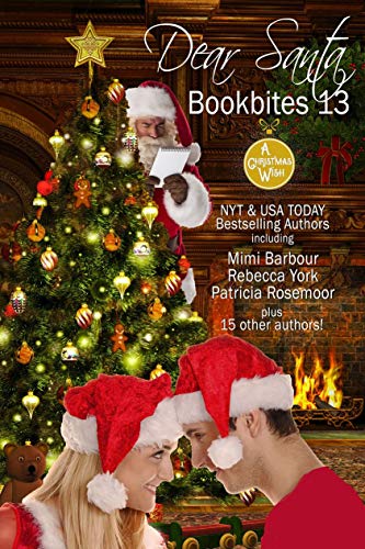 Book Bites 13 - Dear Santa cover