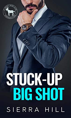 Stuck-Up Big Shot book cover