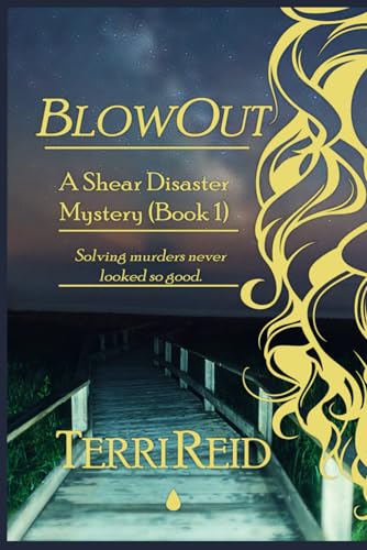 BlowOut book cover