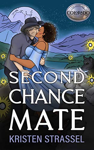 Second Chance Mate book cover