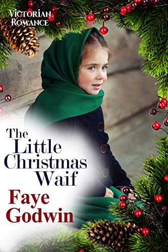 The Little Christmas Waif book cover