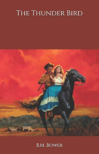 The Thunder Bird book cover