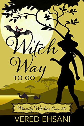 Witch Way To Go book cover