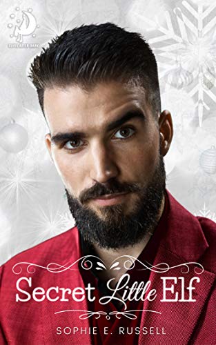 Secret Little Elf book cover