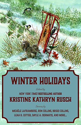 Winter Holidays book cover