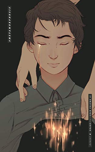 Metamorphosis book cover