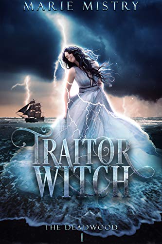 Traitor Witch book cover