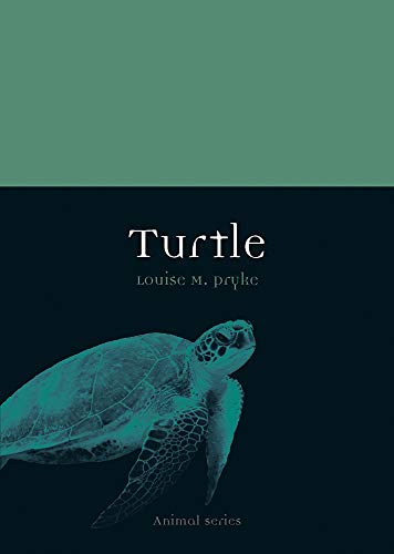 Turtle (By: Louise M. Pryke) cover