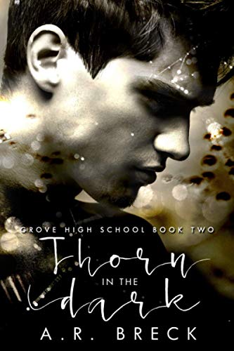 Thorn in the Dark cover