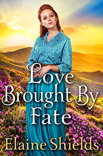 Love Brought by Fate book cover