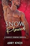 Snow Plowed