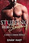 Stuffing Her Stocking (Santa's Coming Book 3)