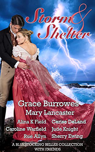 Storm & Shelter: A Bluestocking Belles Collection with Friends book cover
