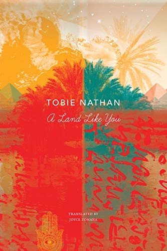 A Land Like You (By: Tobie Nathan) cover
