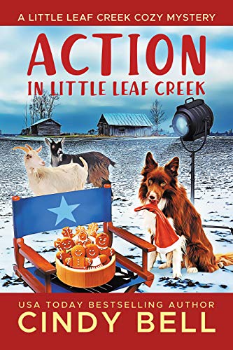 Action in Little Leaf Creek cover