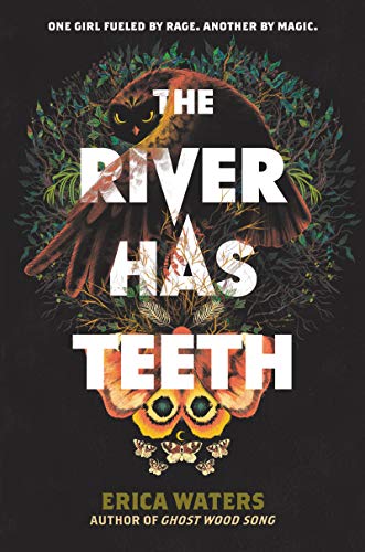 The River Has Teeth book cover