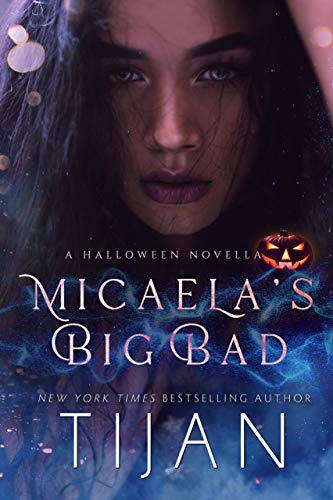 Micaela's Big Bad book cover