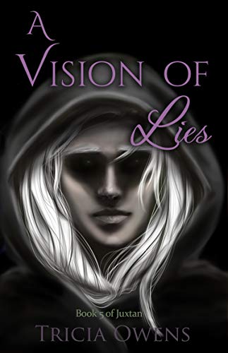 A Vision of Lies book cover