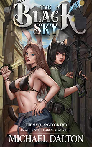 The Black Sky book cover