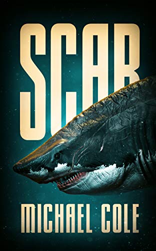 Scar book cover