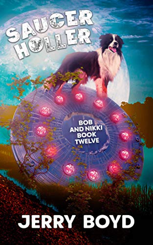Saucer Holler book cover