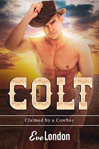 Colt book cover