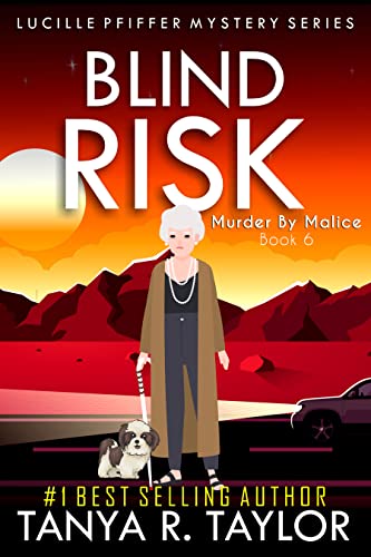 Blind Risk book cover