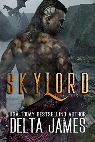 Skylord book cover