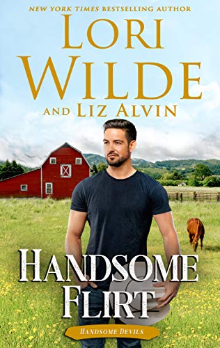 Handsome Flirt book cover