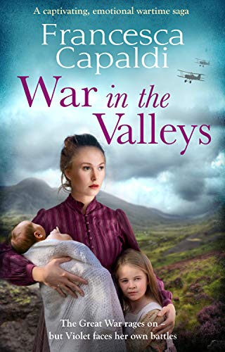 War in the Valleys book cover