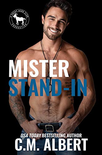 Mister Stand-In book cover