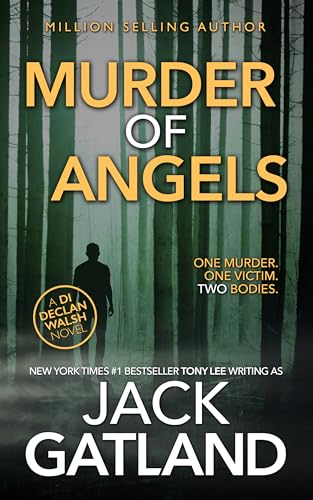 Murder Of Angels cover