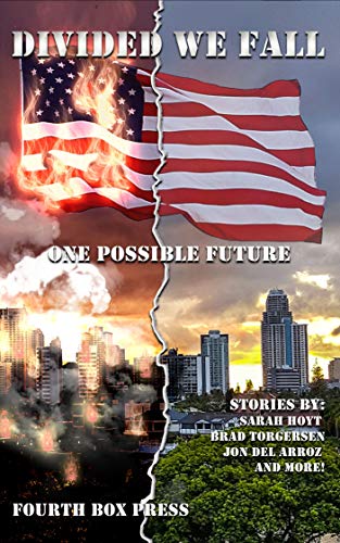 Divided we Fall: One Possible Future cover