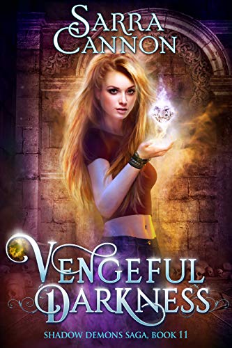 Vengeful Darkness book cover