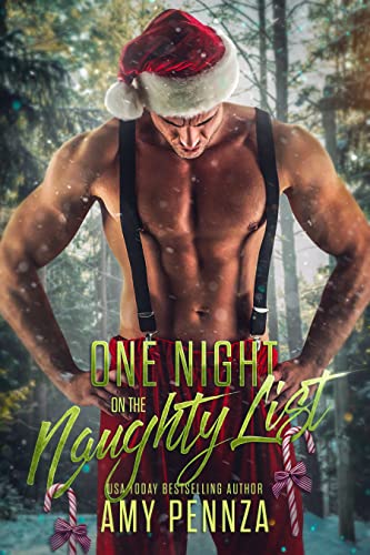 One Night on the Naughty List book cover