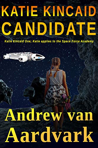 Katie Kincaid Candidate book cover