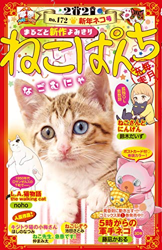ねこぱんち No.169 14周年号の作品情報、単行本情報 | アル