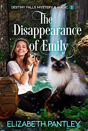 The Disappearance of Emily book cover