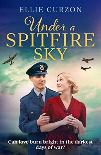 Under a Spitfire Sky book cover