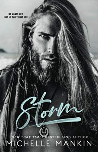 Storm book cover