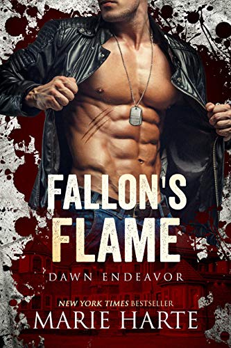 Fallon's Flame cover