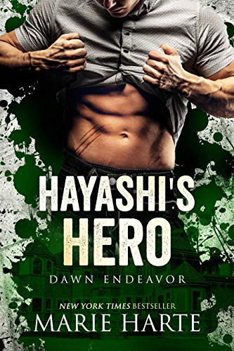 Hayashi's Hero book cover